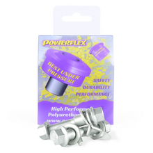 Powerflex Camber Bolts/Gauge Camber Bolts - PowerAlign Camber Bolt Kit (17mm) (PFA100-17)